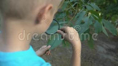 年轻的植物学家透过放大镜观察树叶，学习植物科学